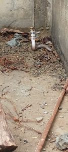 madurai snake control