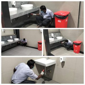 Madurai Gel Bait 